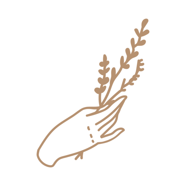 eine gezeichnete braune Hand, die eine pflanze hält