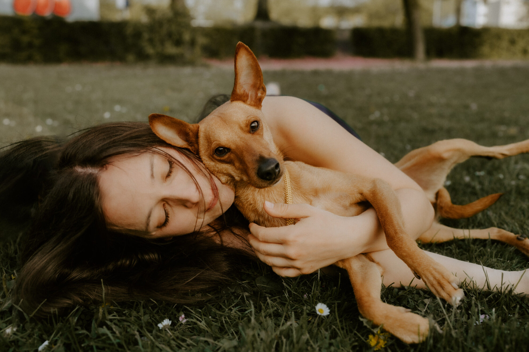 Hundefotograf in Unna – Bilder von deinem besten Freund