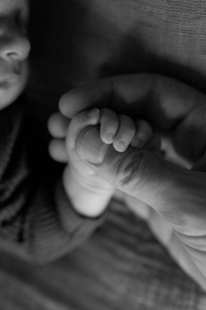 Winzige Babyhand in der Hand eines Elternteils, Schwarz-Weiß